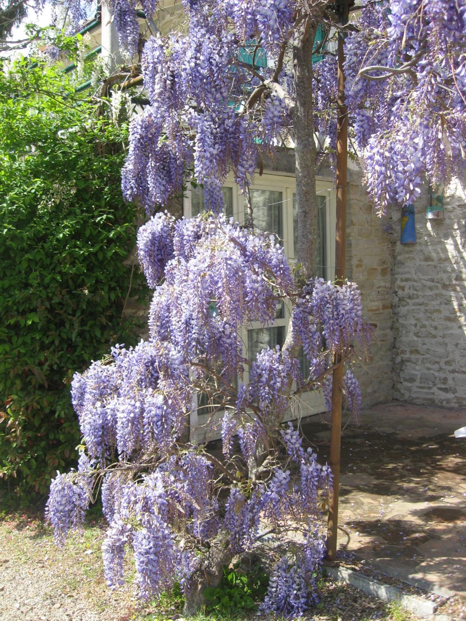 Agriturismo Cascina Serra Cossano Belbo Buitenkant foto