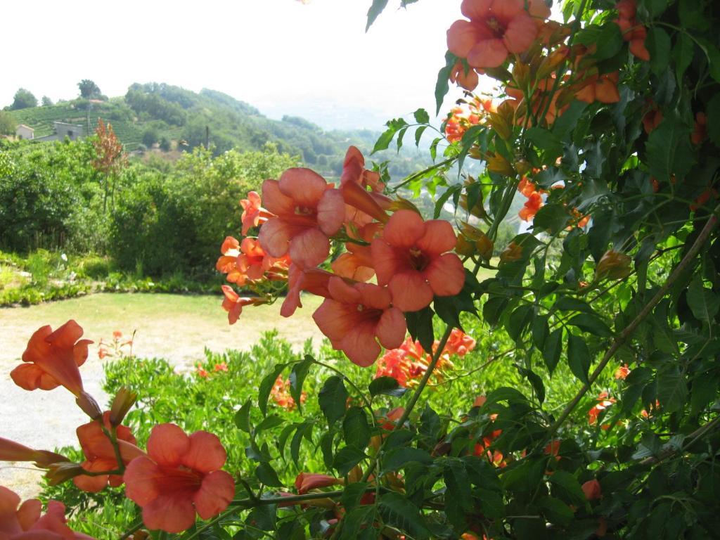 Agriturismo Cascina Serra Cossano Belbo Buitenkant foto