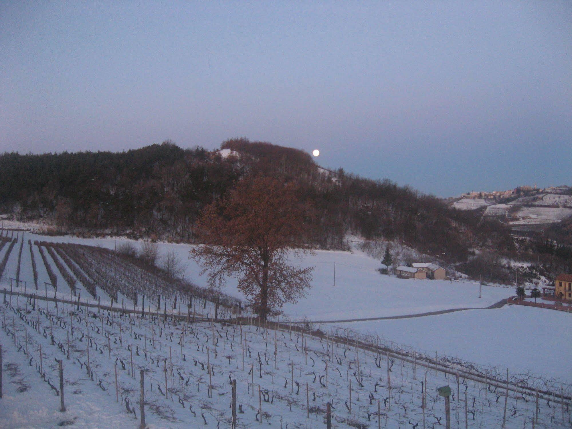 Agriturismo Cascina Serra Cossano Belbo Buitenkant foto