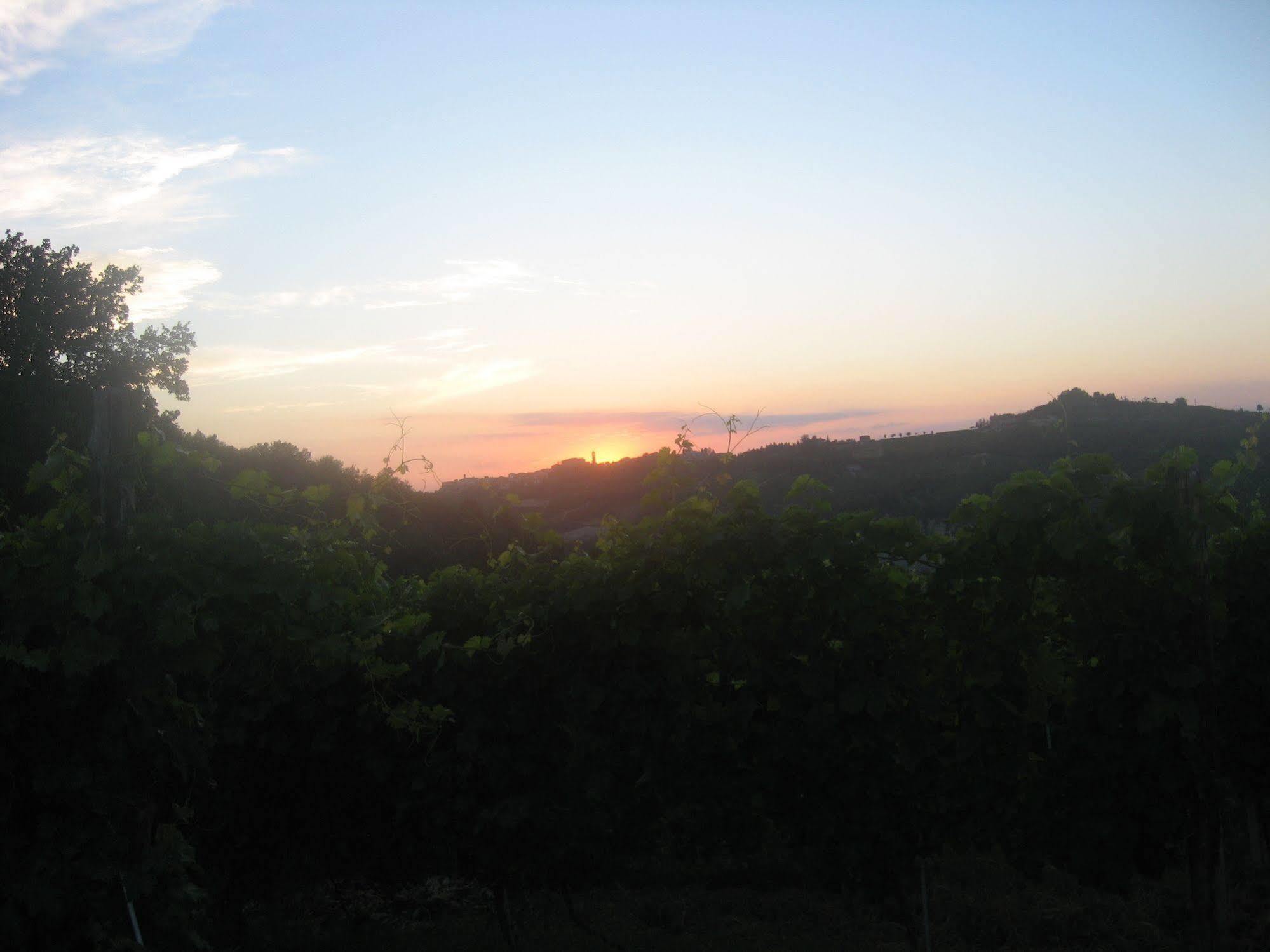 Agriturismo Cascina Serra Cossano Belbo Buitenkant foto