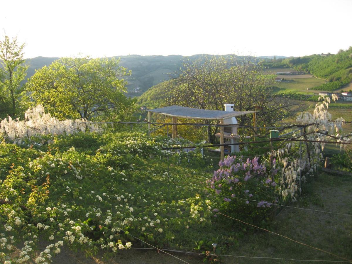 Agriturismo Cascina Serra Cossano Belbo Kamer foto